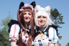 DoKomi 2022