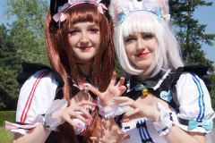 DoKomi_2022_37