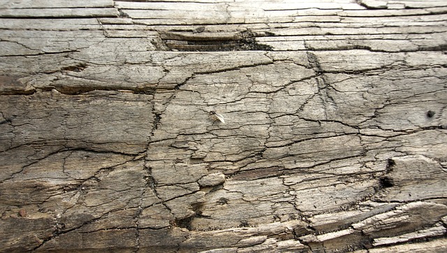 Holz Background Hintergrund Struktur Natur