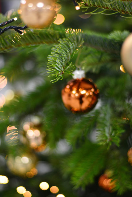 Weihnachtskugel im Tannenaum